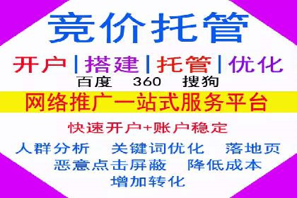 SEM搜索引擎优化：成功案例解析